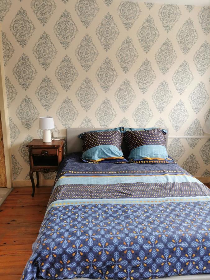 Chambre Privee Dans Appart Partage, Centre Ville, Avec Vue Sur Les Monuments Le Puy-en-Velay Dış mekan fotoğraf